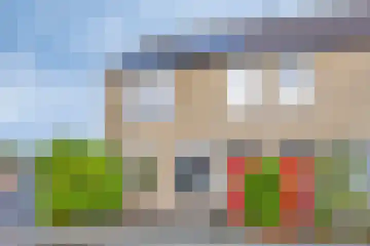 Schoudee 20 Bergen op Zoom thumbnail 5