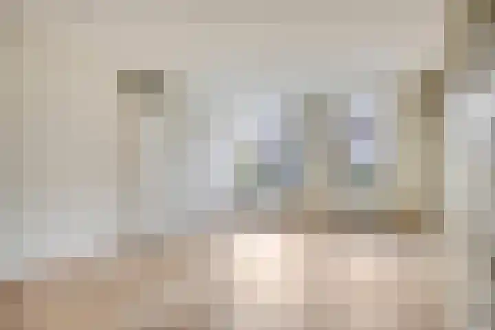 Schoudee 20 Bergen op Zoom thumbnail 8