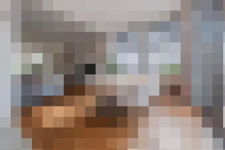 Schoudermantel 14 Bunnik thumbnail 11