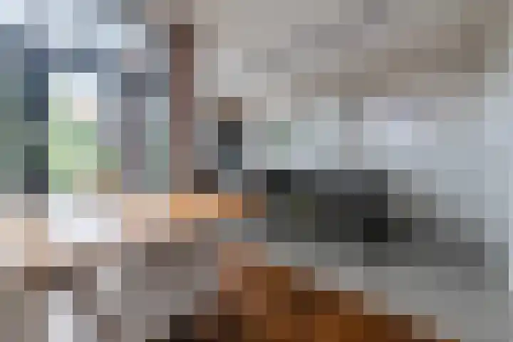 Schoudermantel 14 Bunnik thumbnail 13