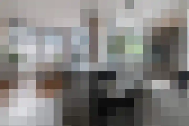 Schoudermantel 14 Bunnik thumbnail 14