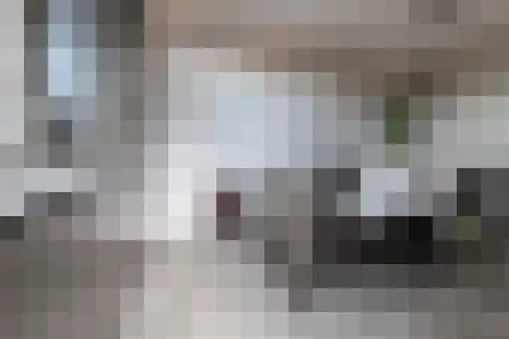 Schoudermantel 14 Bunnik thumbnail 15