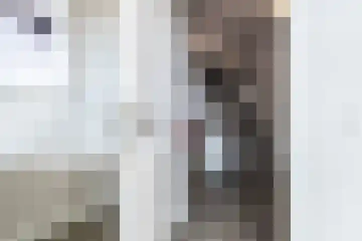 Schoudermantel 14 Bunnik thumbnail 18