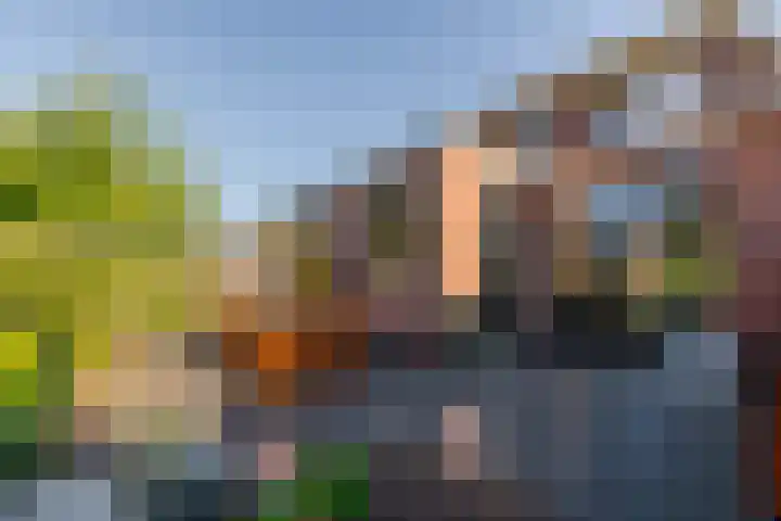 Schoudermantel 14 Bunnik thumbnail 32