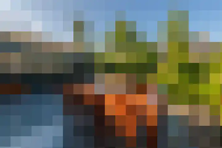 Schoudermantel 14 Bunnik thumbnail 33
