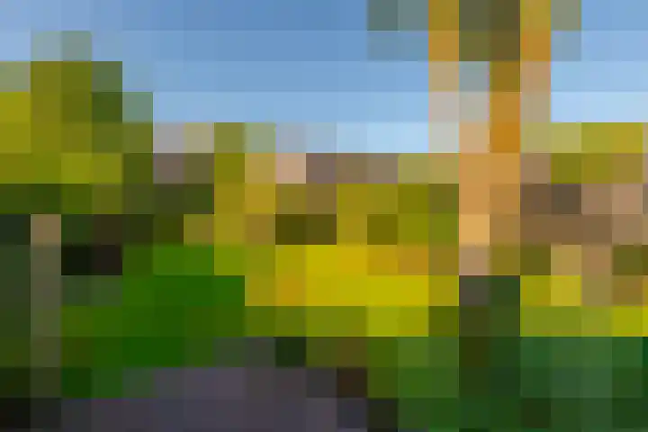 Schoudermantel 14 Bunnik thumbnail 34