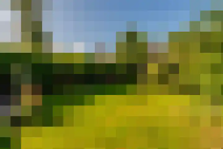 Schoudermantel 14 Bunnik thumbnail 35