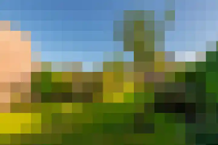 Schoudermantel 14 Bunnik thumbnail 37