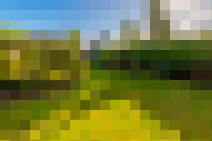 Schoudermantel 14 Bunnik thumbnail 38