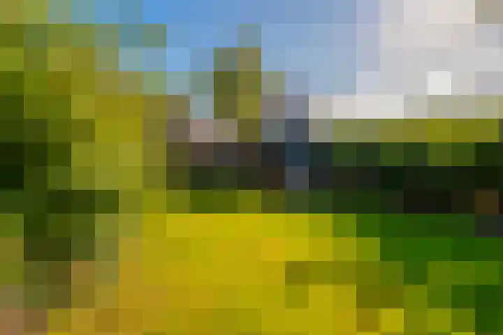 Schoudermantel 14 Bunnik thumbnail 39