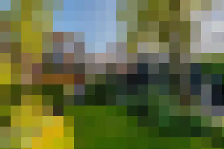Schoudermantel 14 Bunnik thumbnail 40