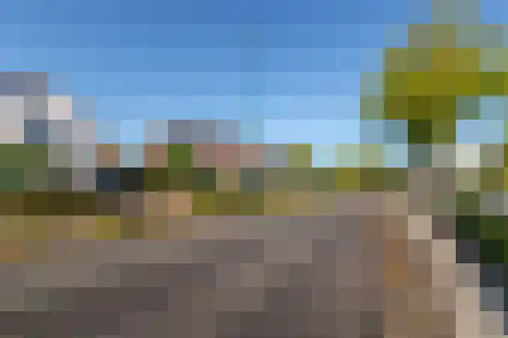 Schoudermantel 14 Bunnik thumbnail 45