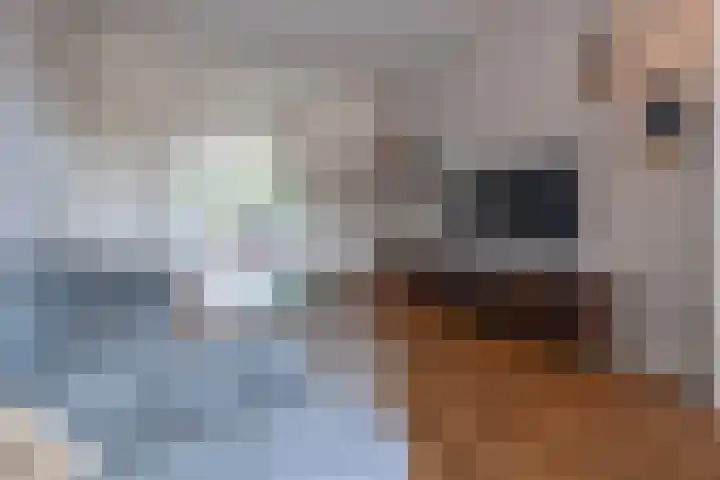 Schoudermantel 14 Bunnik thumbnail 7