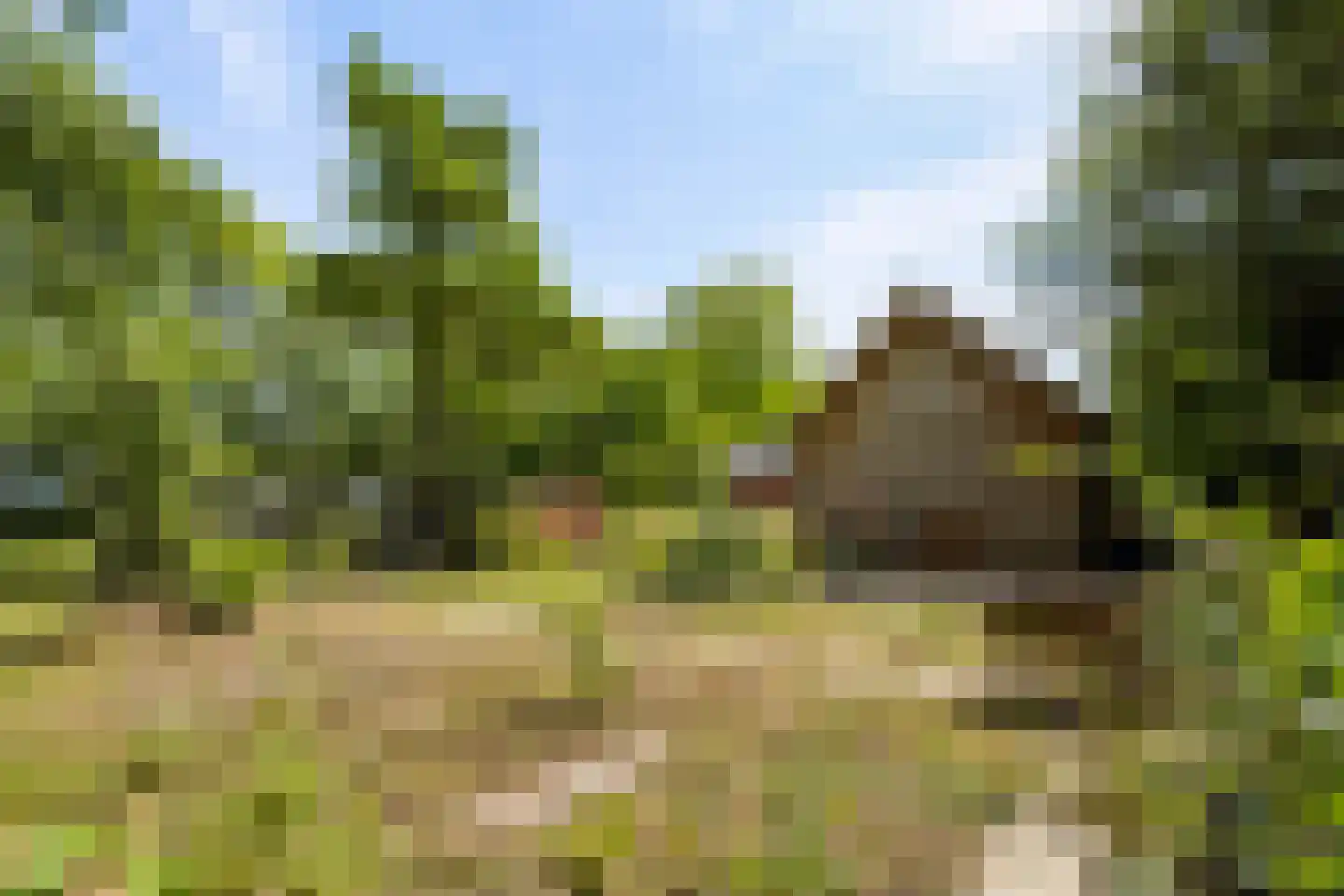 Schoudermantel 55 Bunnik thumbnail 11