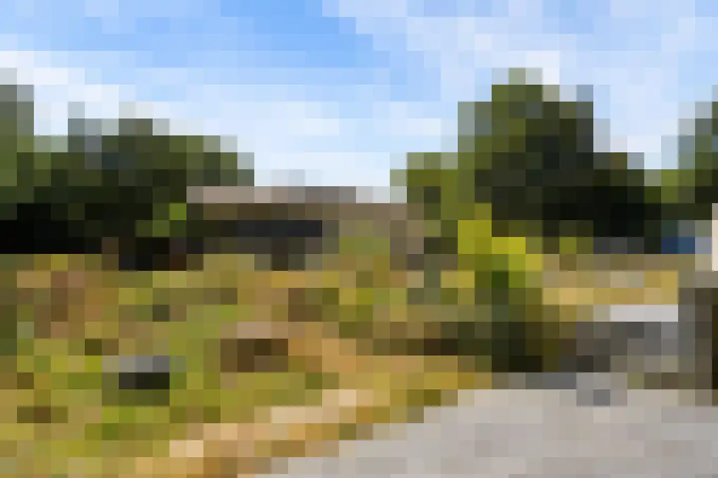Schoudermantel 55 Bunnik thumbnail 14