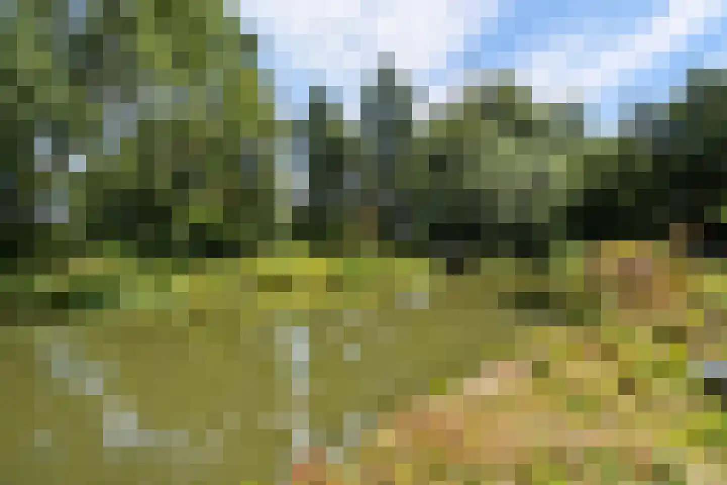 Schoudermantel 55 Bunnik thumbnail 15