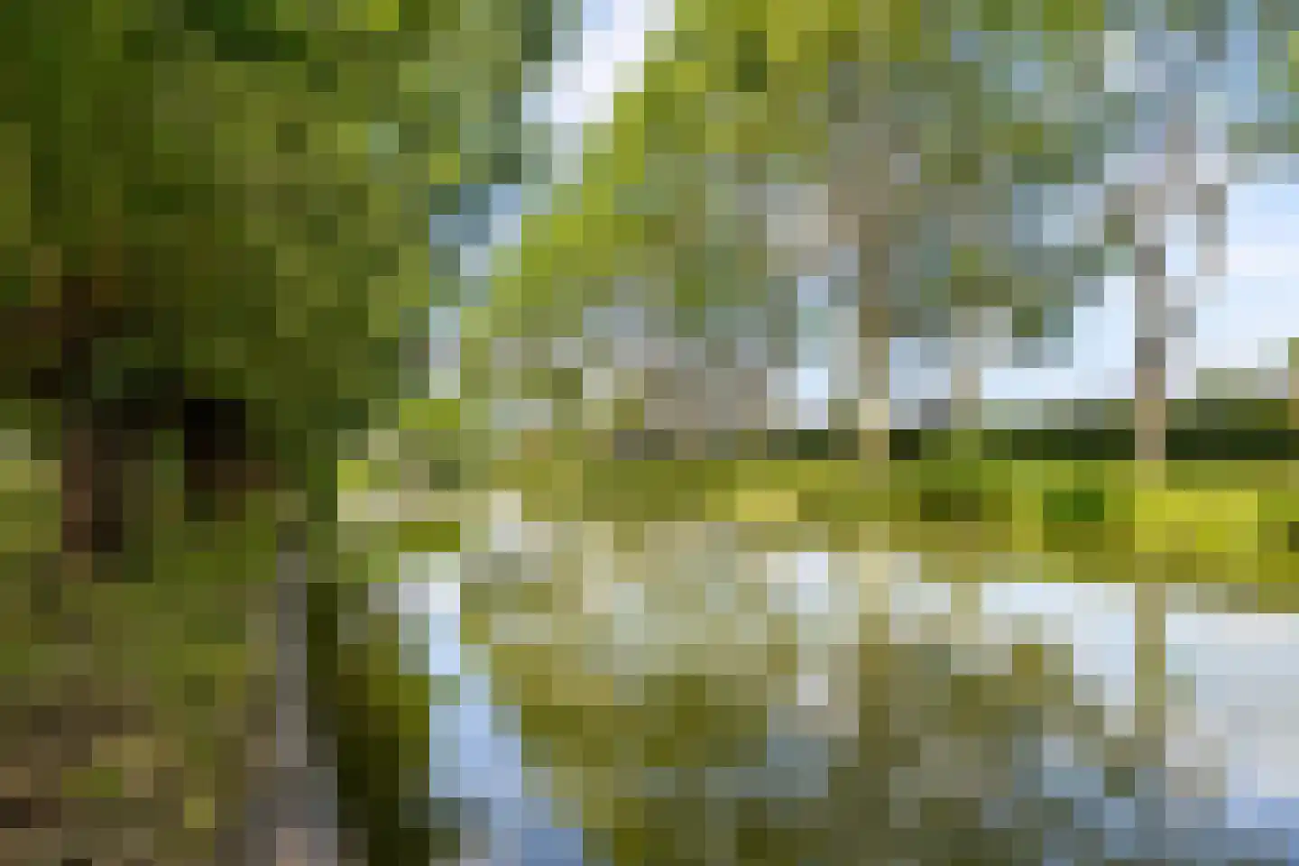 Schoudermantel 55 Bunnik thumbnail 16