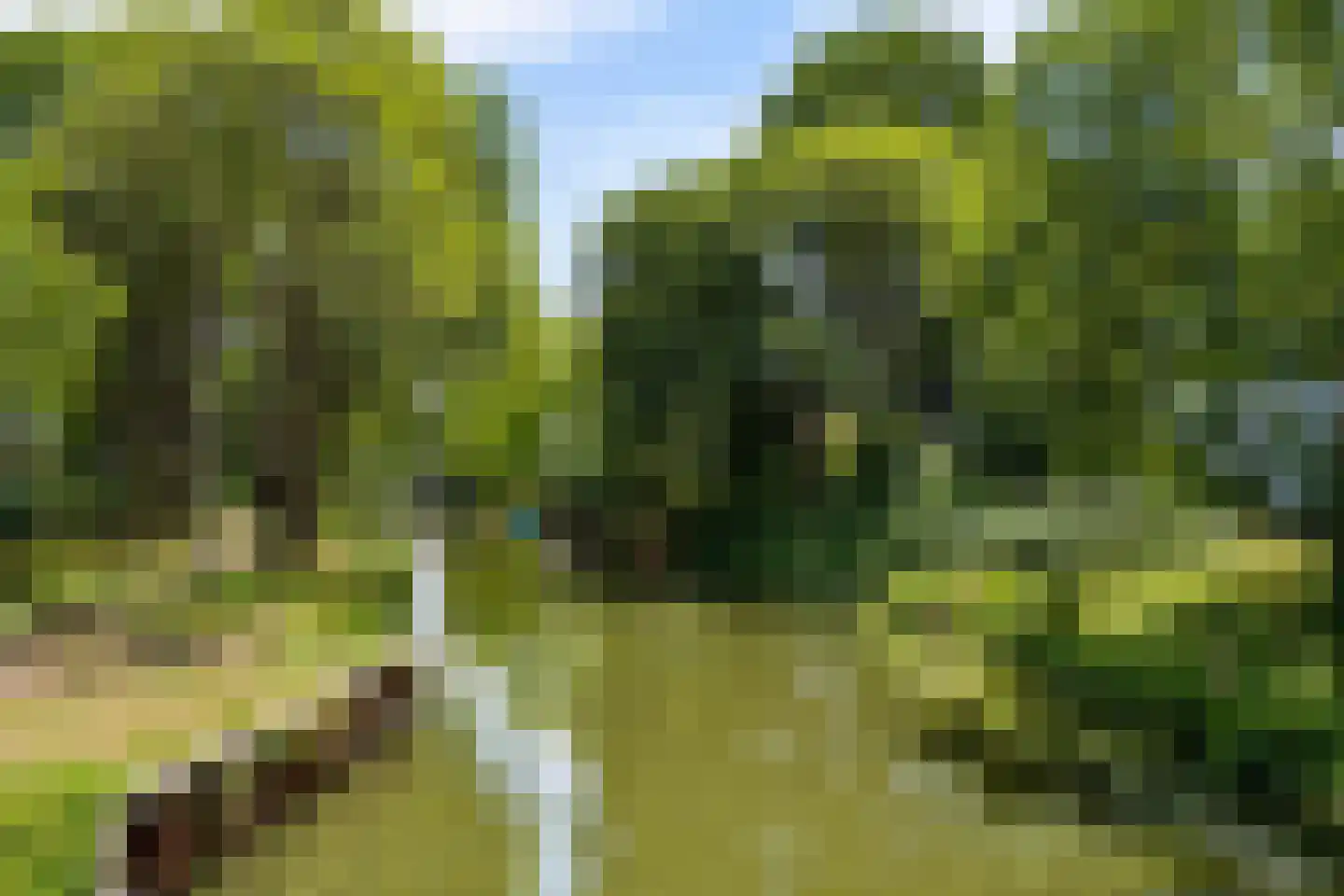 Schoudermantel 55 Bunnik thumbnail 17