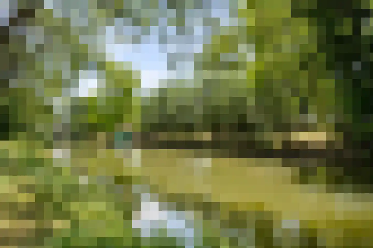 Schoudermantel 55 Bunnik thumbnail 19