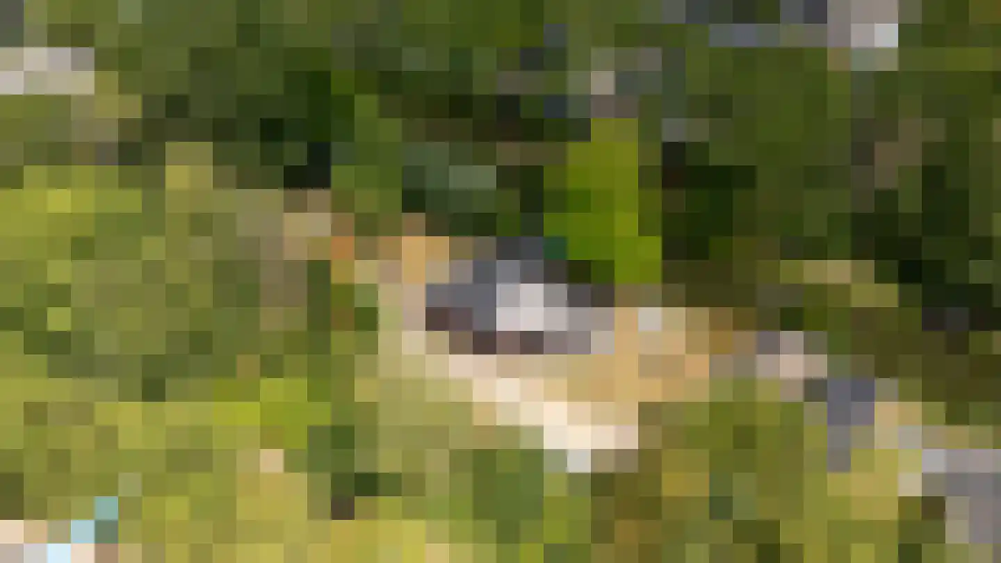 Schoudermantel 55 Bunnik thumbnail 21