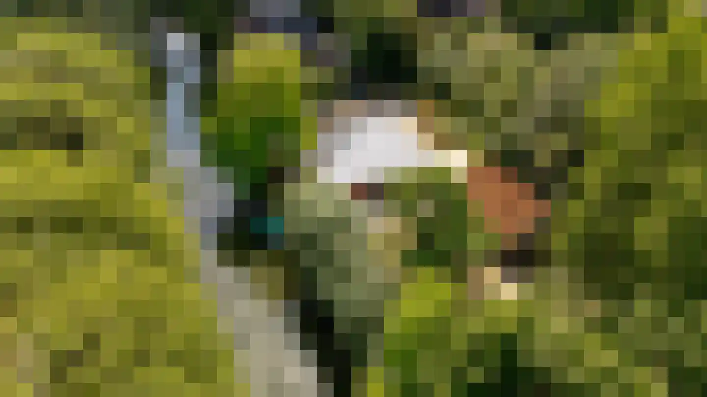 Schoudermantel 55 Bunnik thumbnail 22