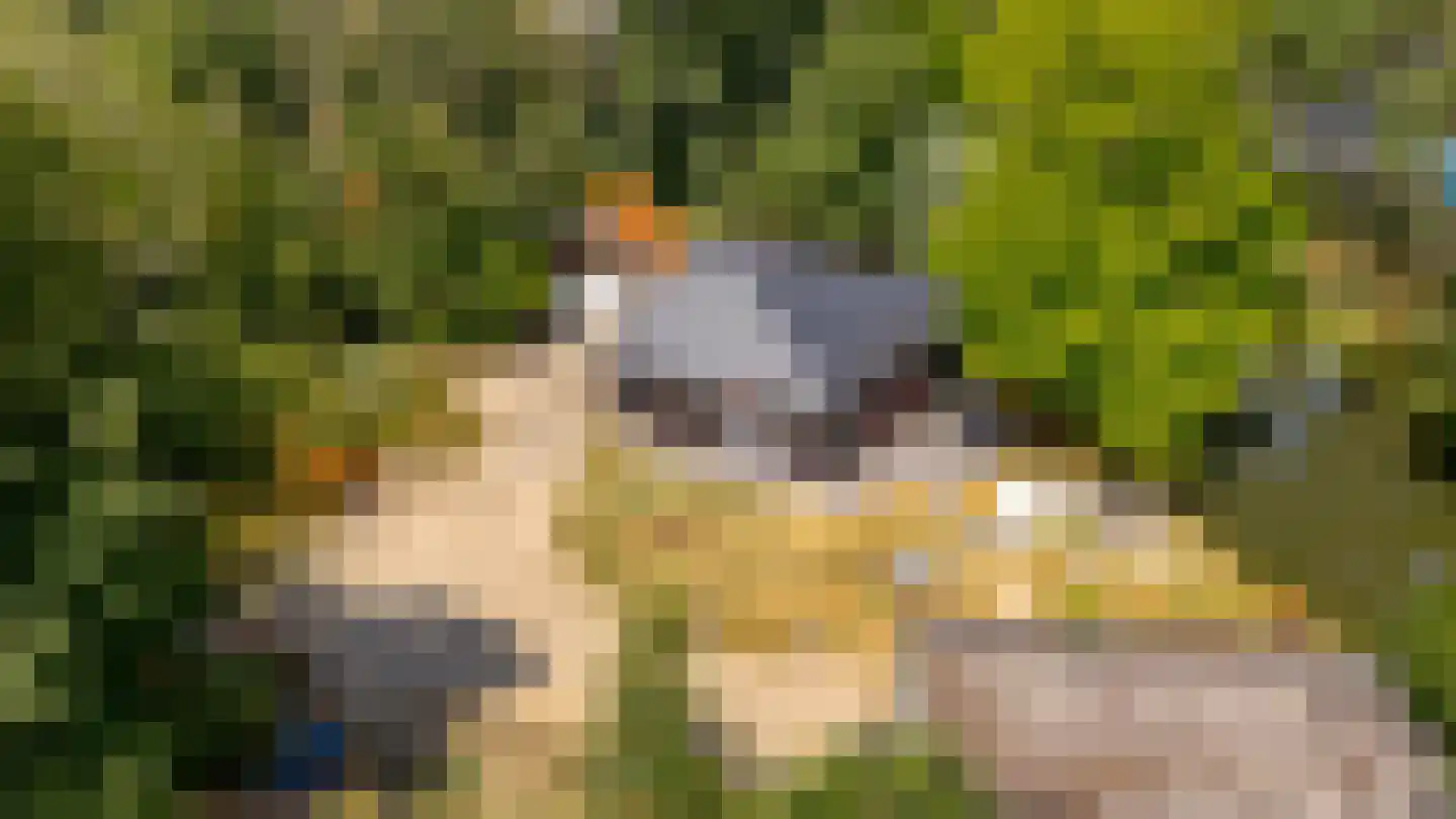 Schoudermantel 55 Bunnik thumbnail 24
