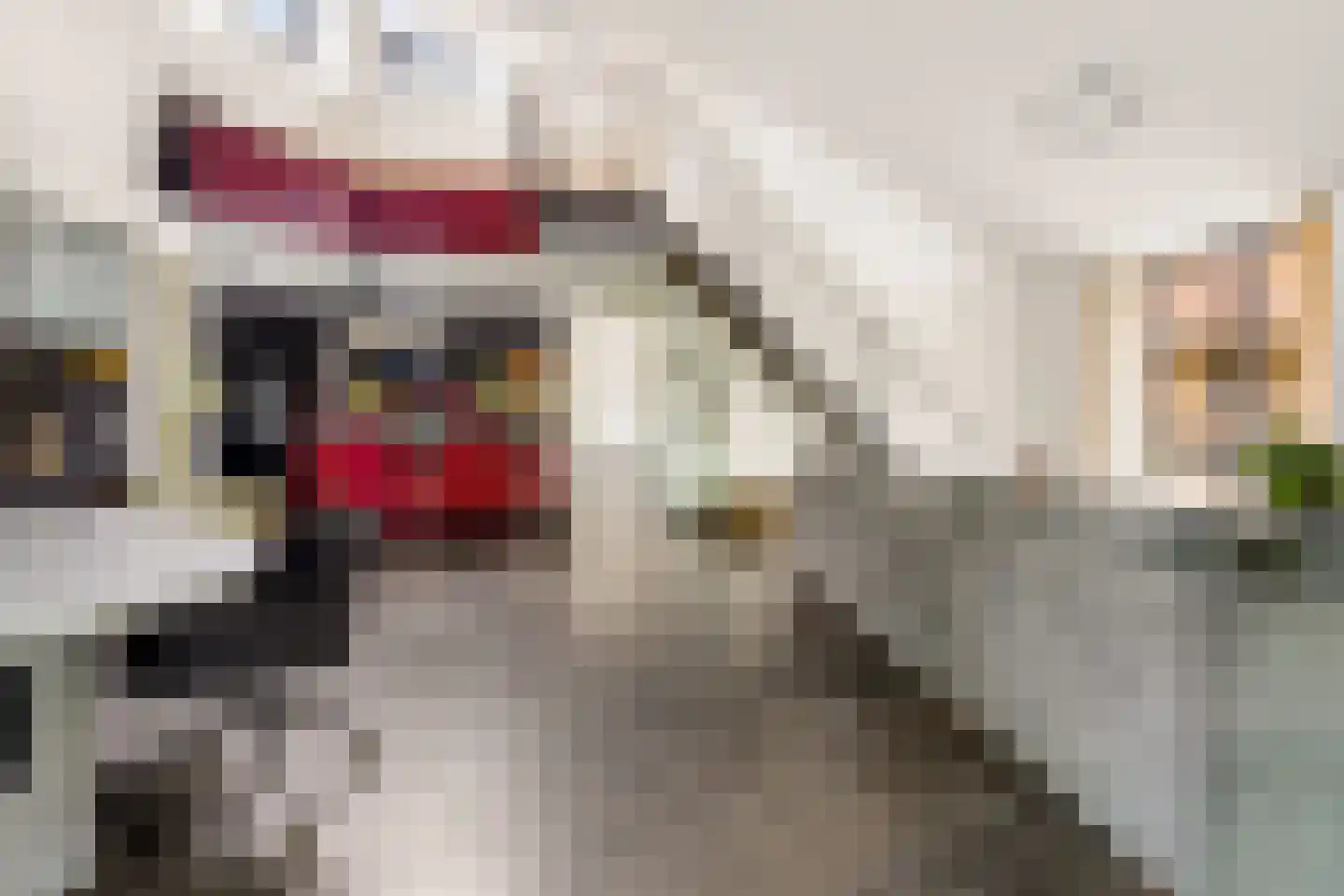 Schoudermantel 55 Bunnik thumbnail 33