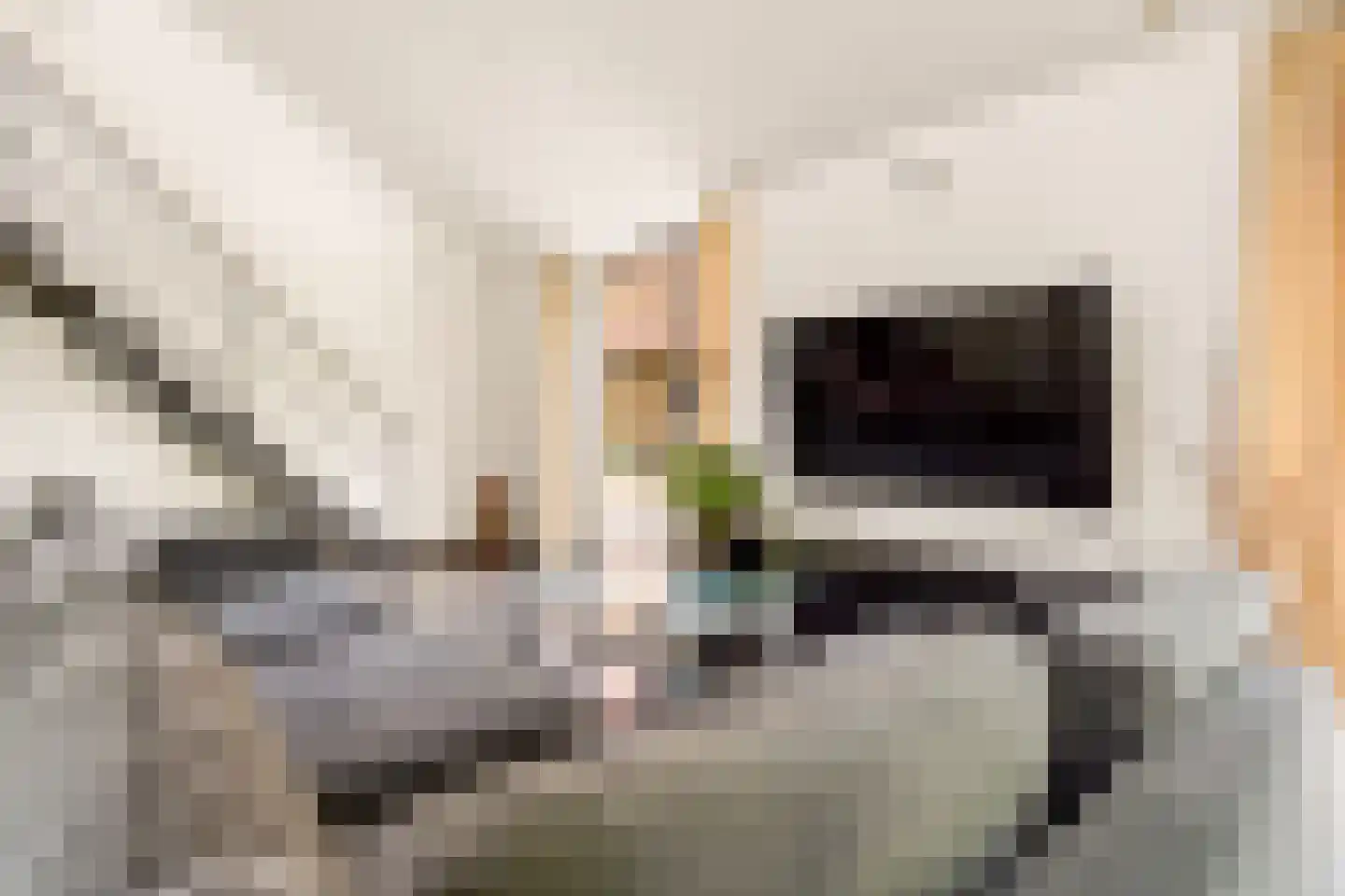 Schoudermantel 55 Bunnik thumbnail 34