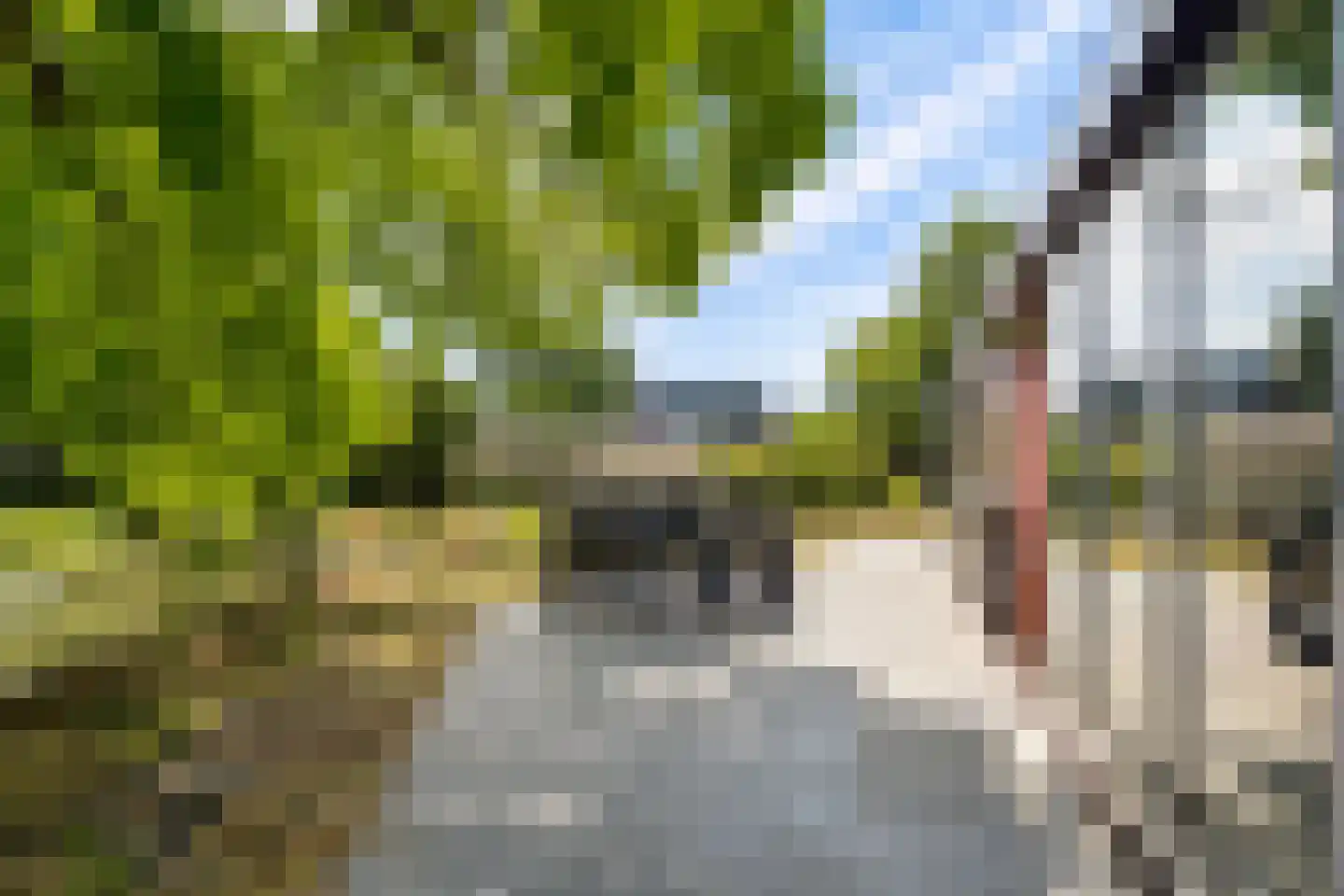 Schoudermantel 55 Bunnik thumbnail 4