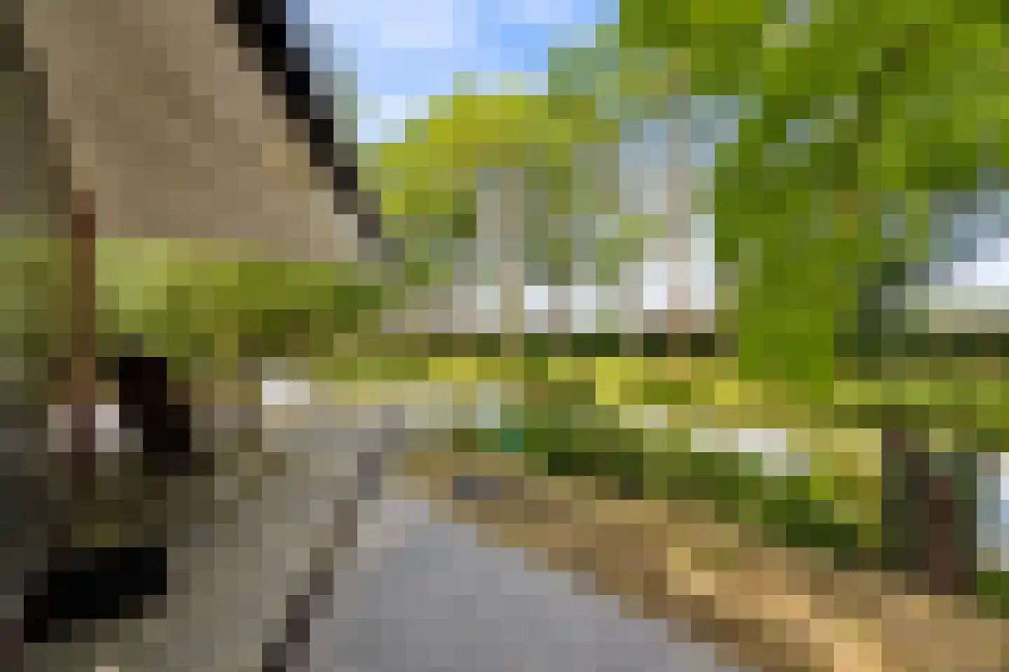 Schoudermantel 55 Bunnik thumbnail 5