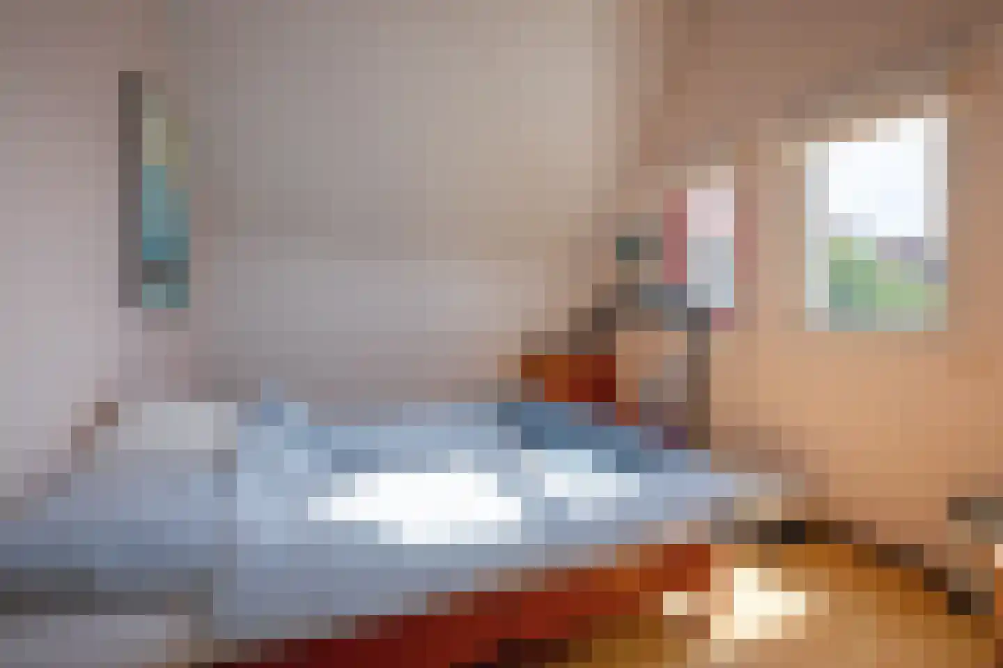 Schoudieck 14 Den Burg thumbnail 11