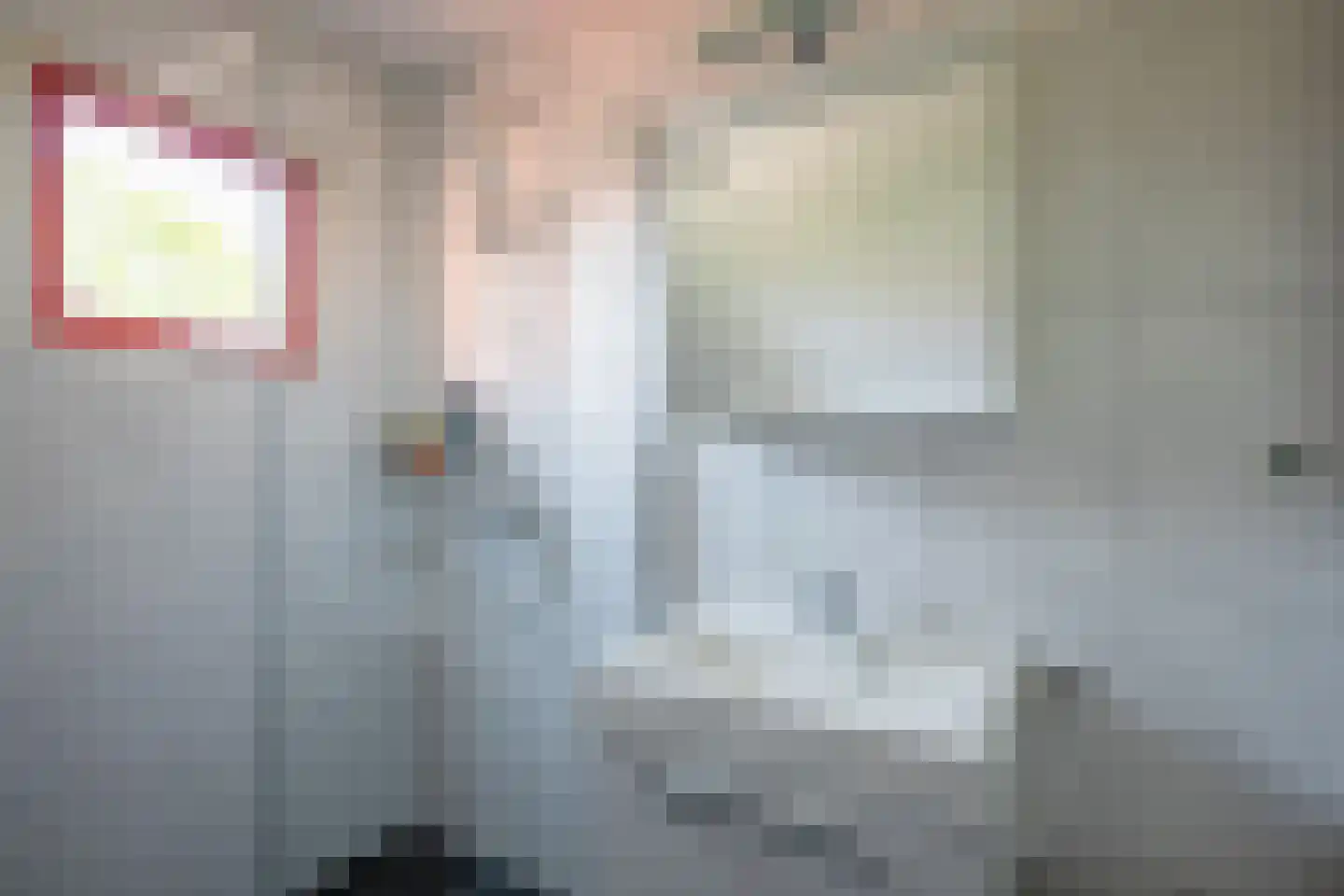 Schoudieck 14 Den Burg thumbnail 13