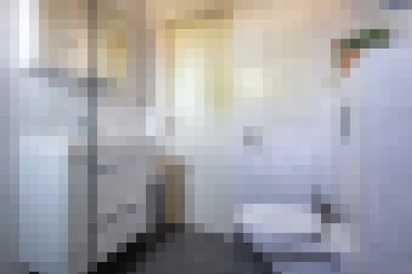 Schoudieck 14 Den Burg thumbnail 14
