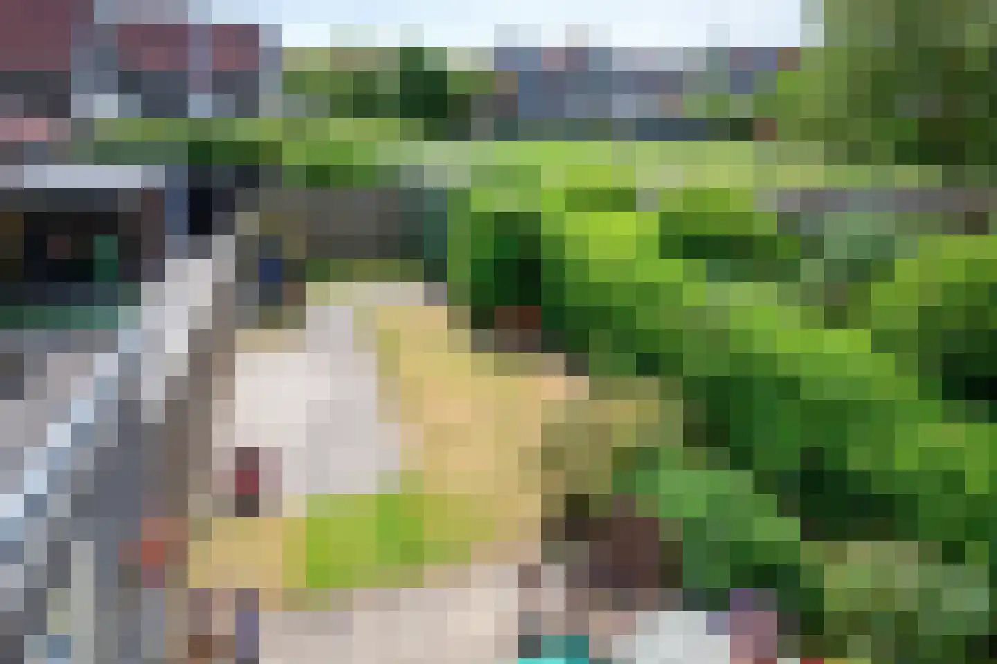 Schoudieck 14 Den Burg thumbnail 17