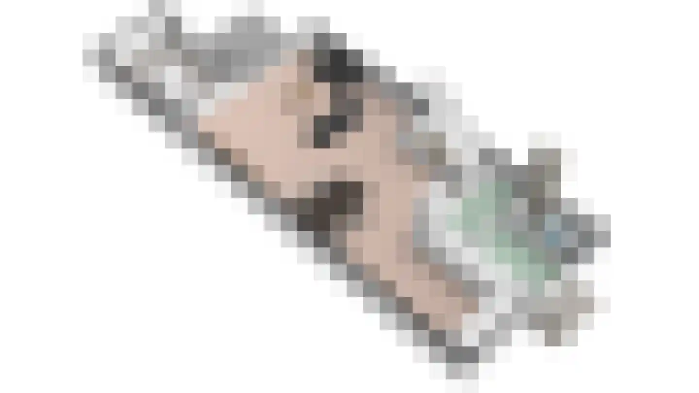 Schoudieck 14 Den Burg thumbnail 22