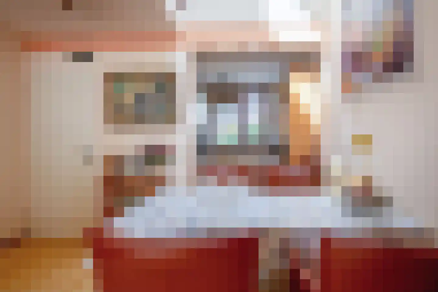 Schoudieck 14 Den Burg thumbnail 4