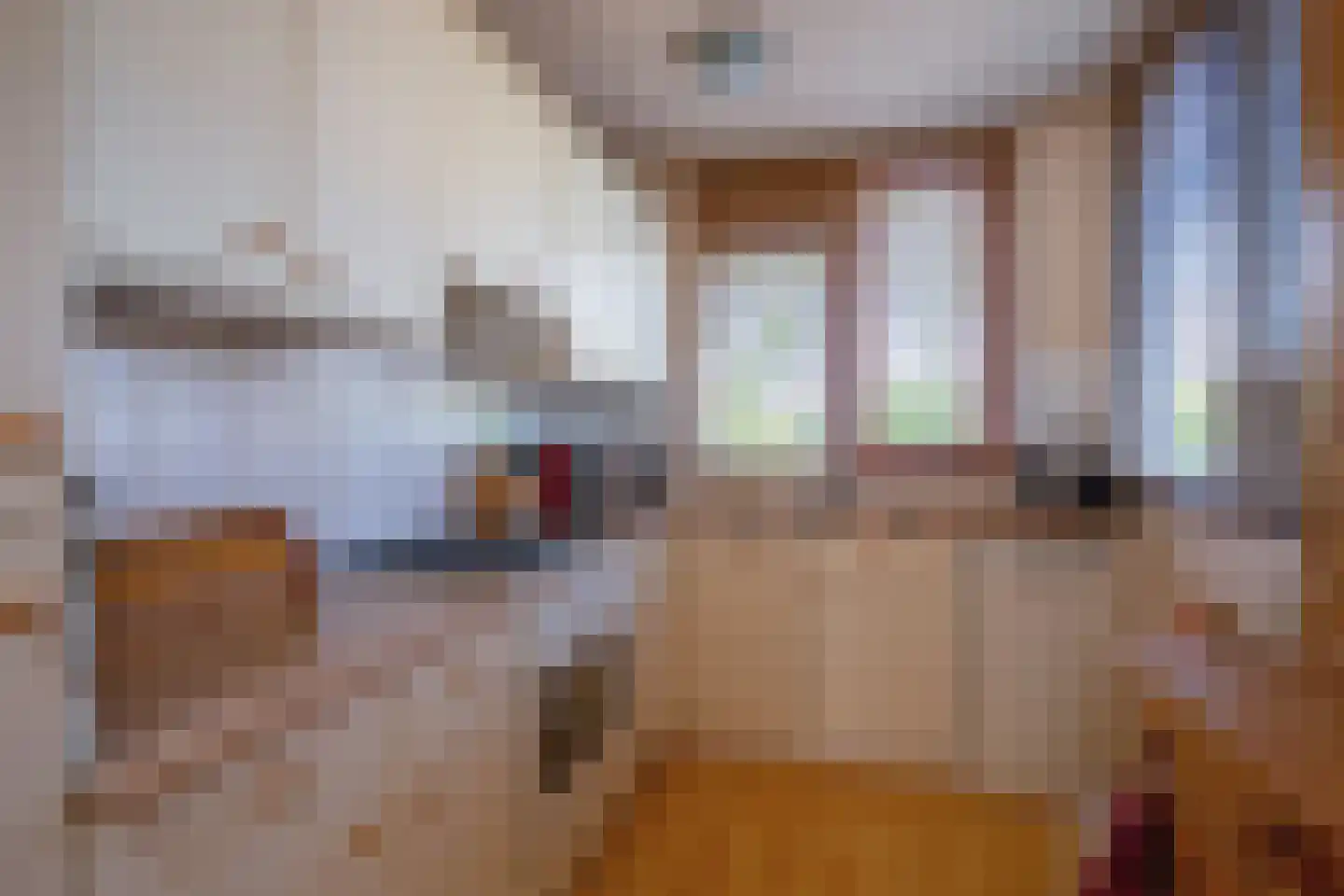 Schoudieck 14 Den Burg thumbnail 5