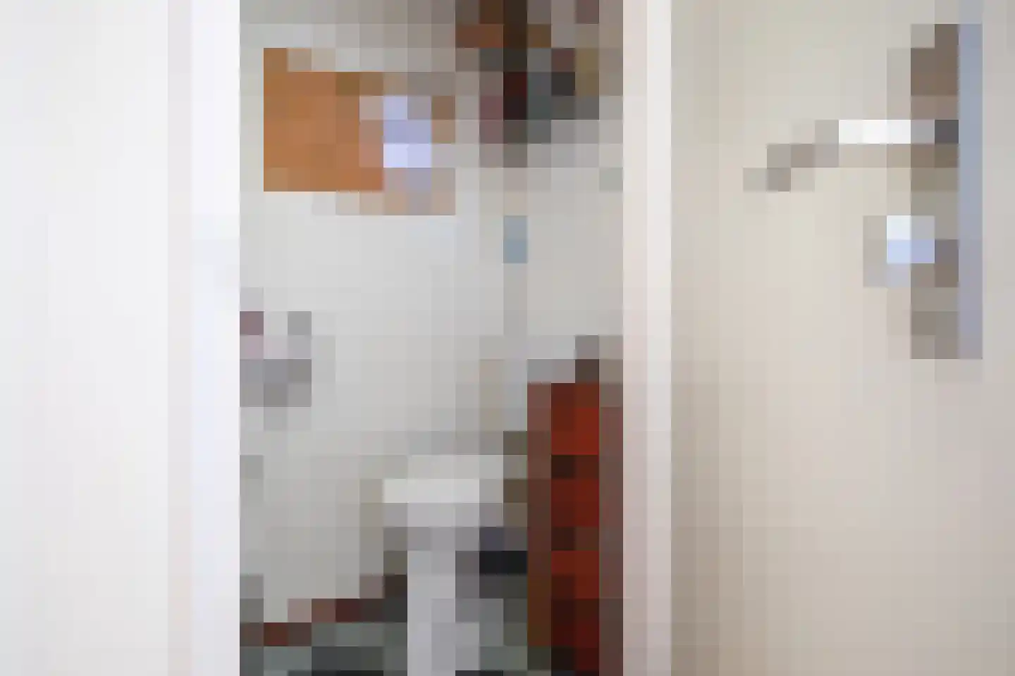 Schoudieck 14 Den Burg thumbnail 6