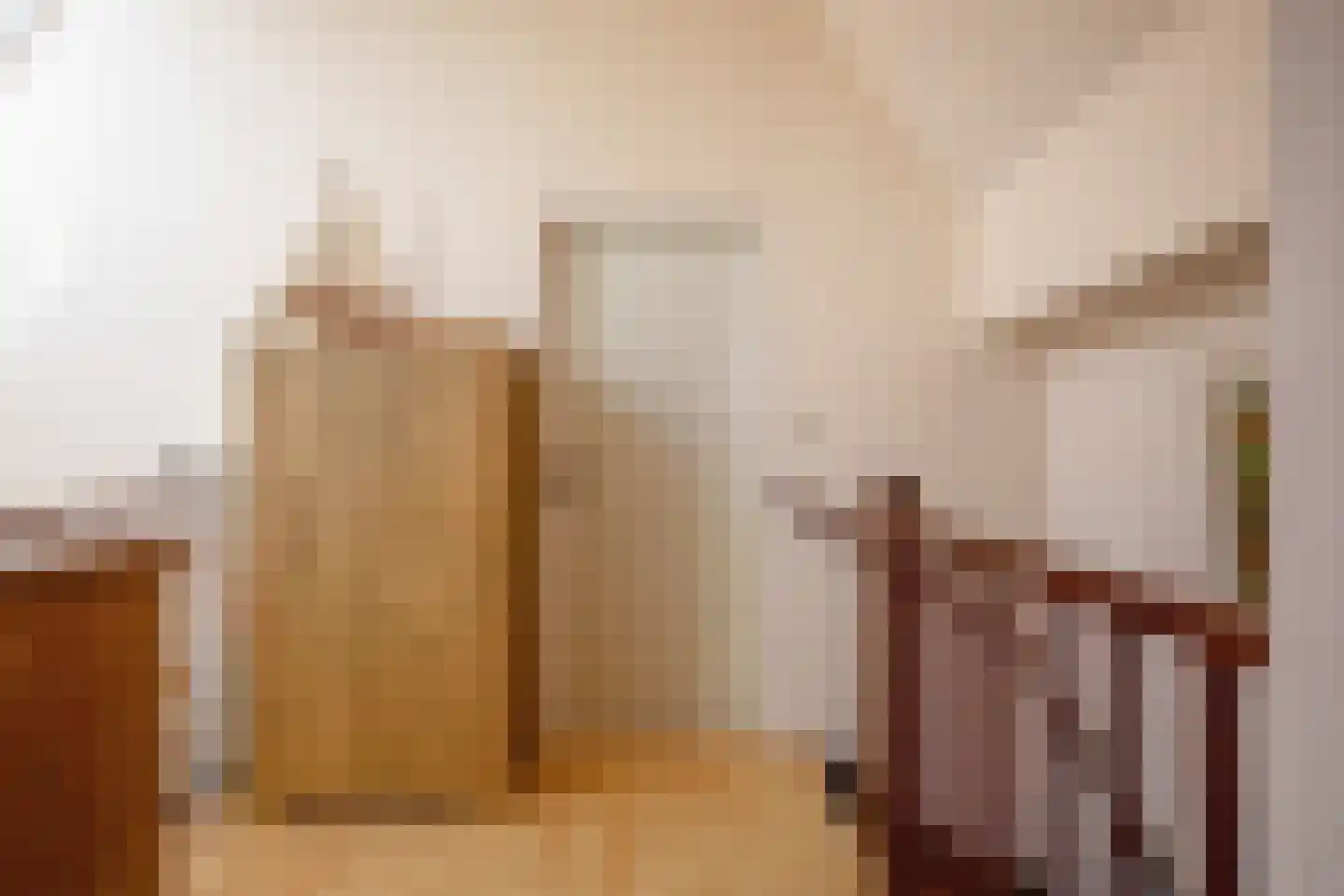Schoudieck 14 Den Burg thumbnail 9