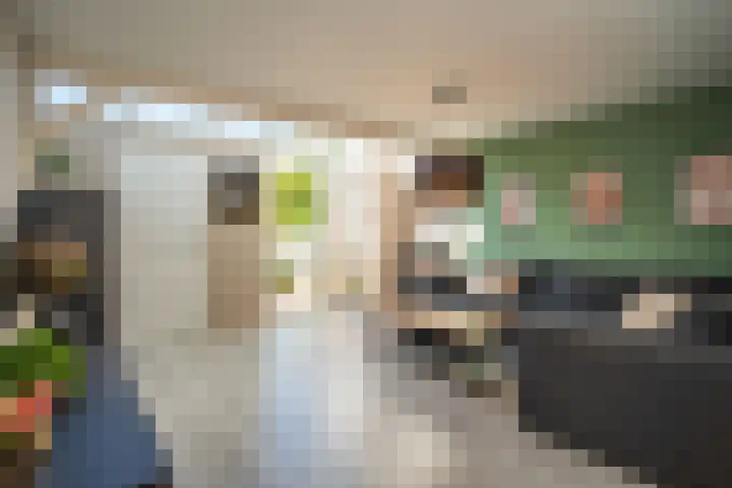 Schoudieck 47 Den Burg thumbnail 10