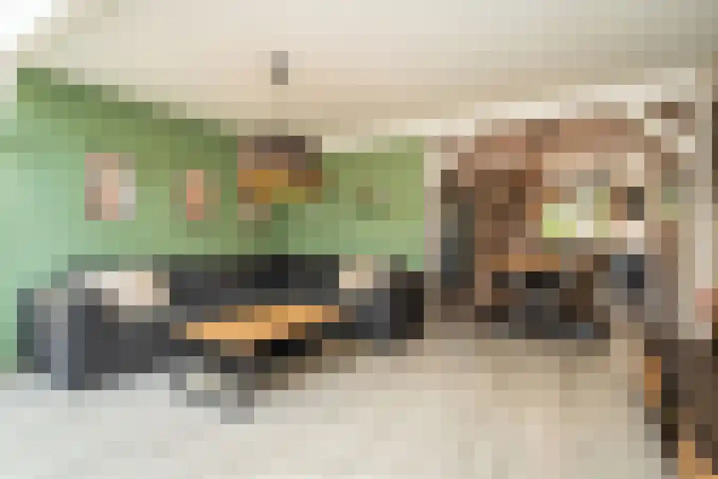 Schoudieck 47 Den Burg thumbnail 11