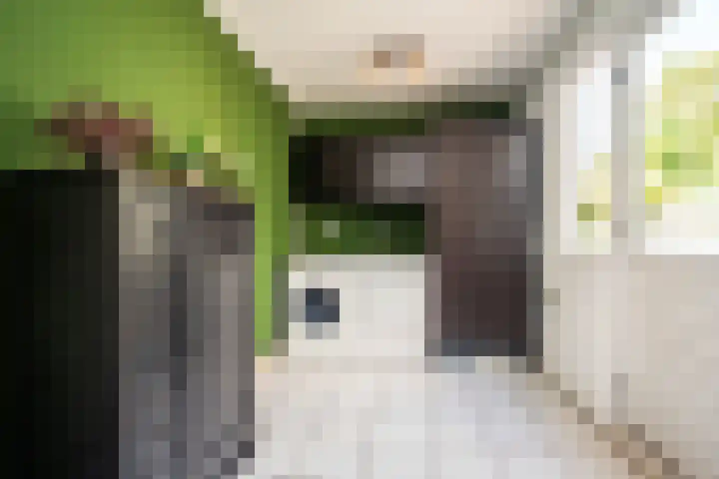 Schoudieck 47 Den Burg thumbnail 13
