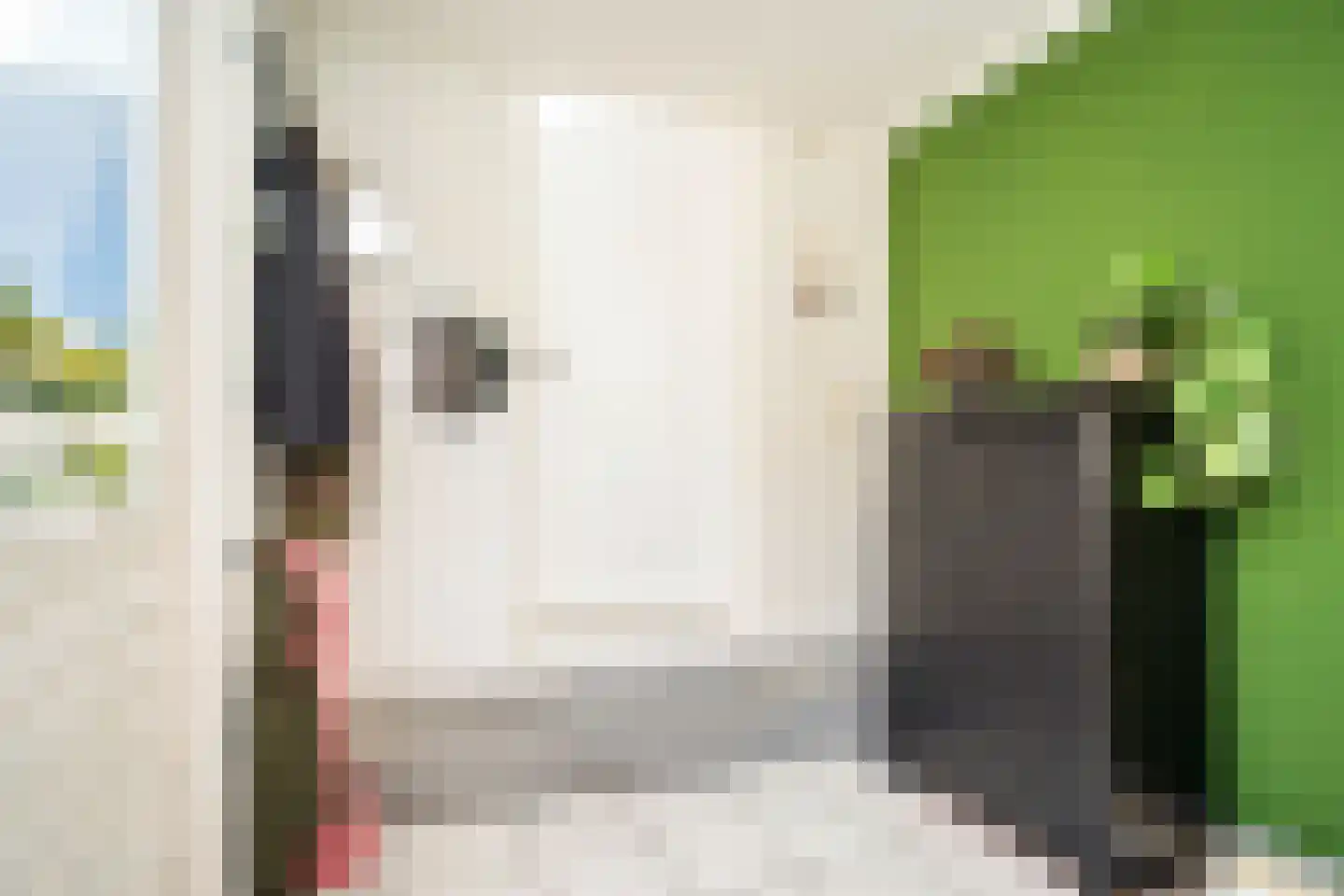 Schoudieck 47 Den Burg thumbnail 14