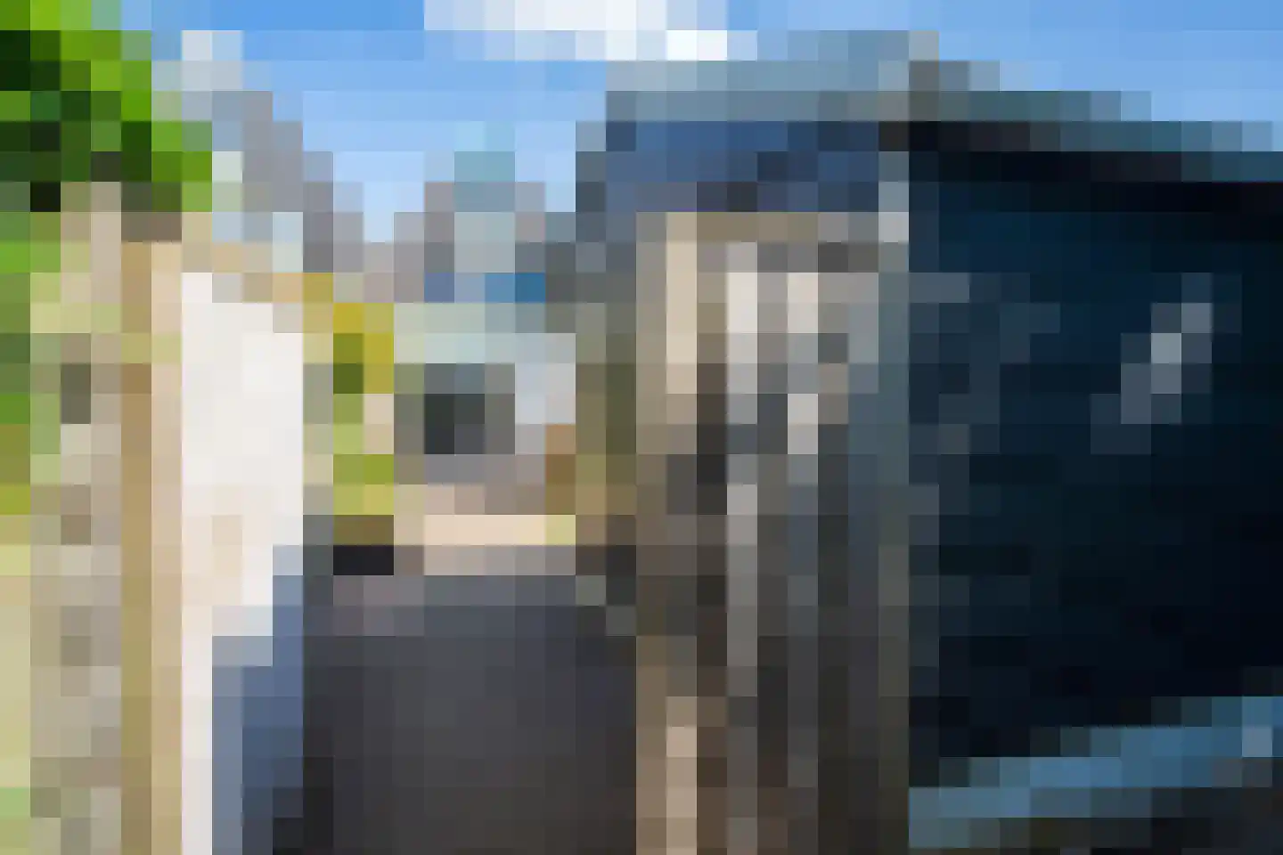 Schoudieck 47 Den Burg thumbnail 20
