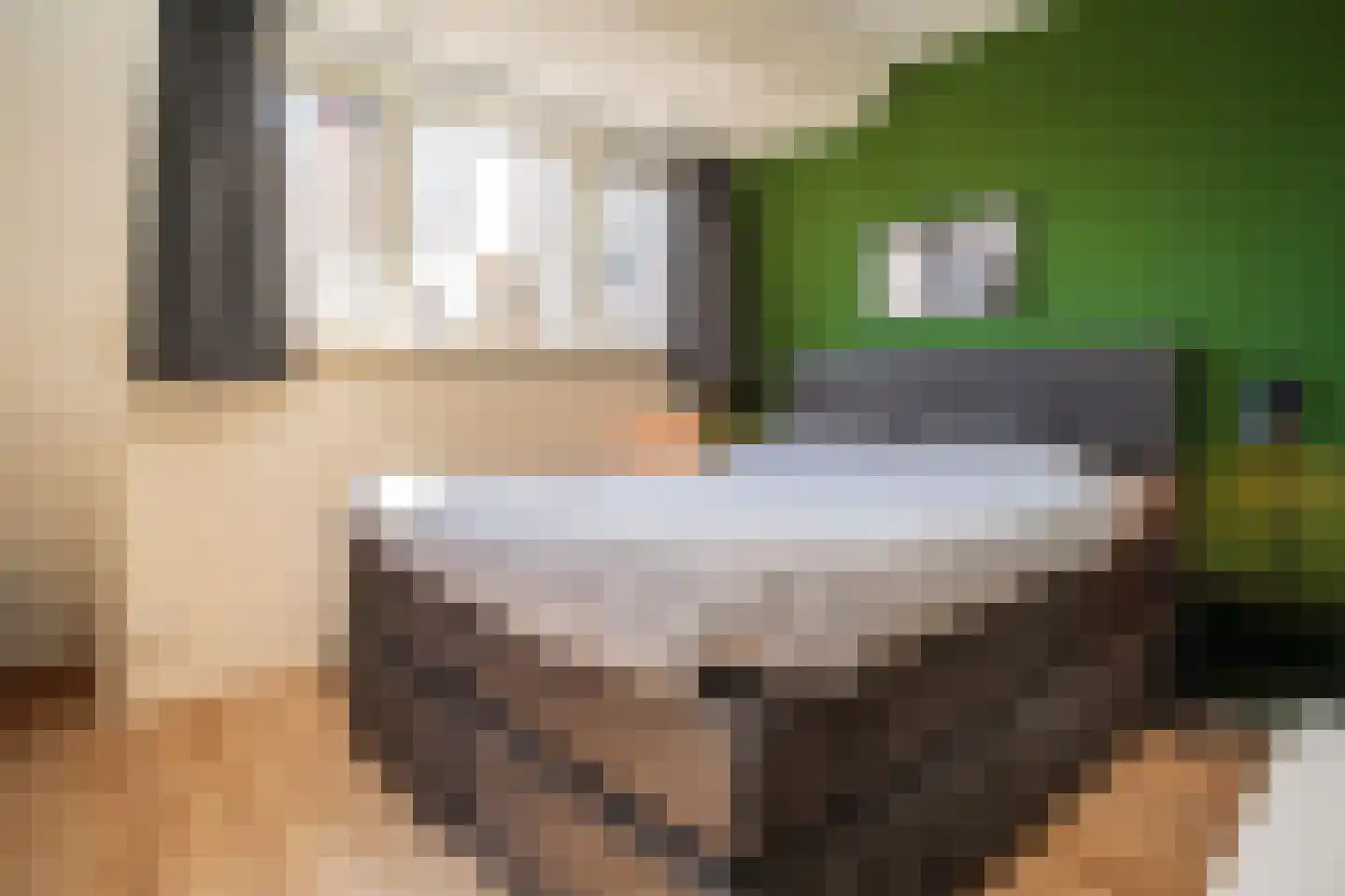 Schoudieck 47 Den Burg thumbnail 25
