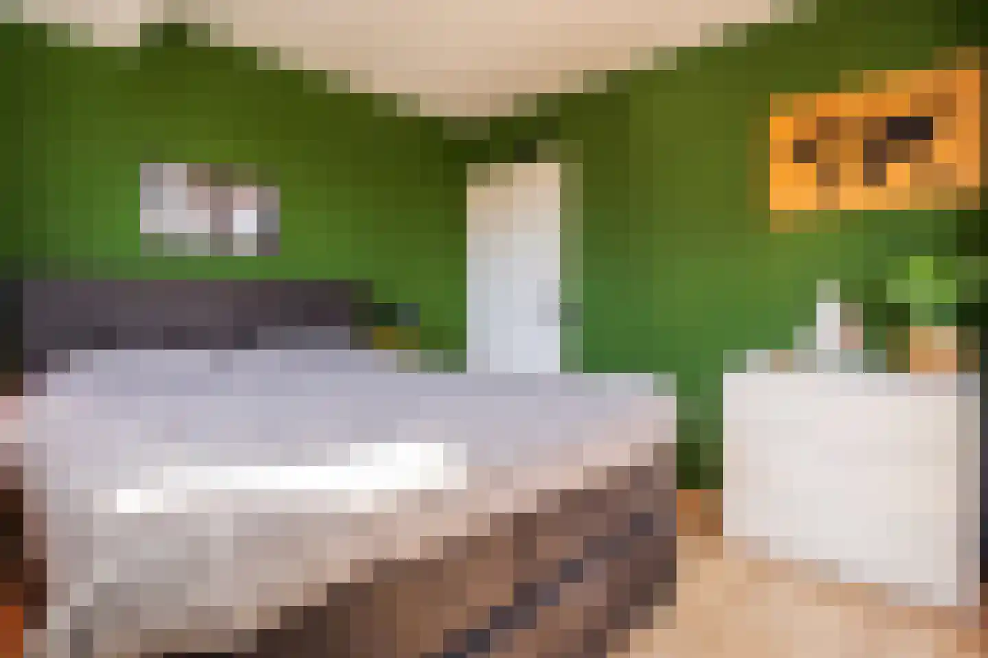 Schoudieck 47 Den Burg thumbnail 26