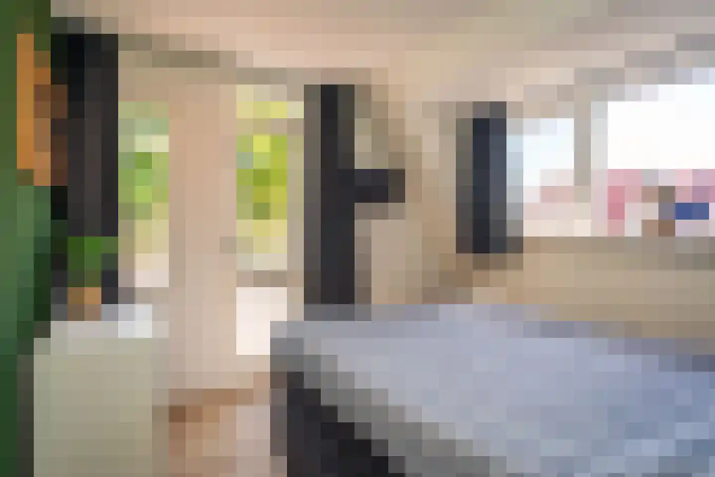 Schoudieck 47 Den Burg thumbnail 27