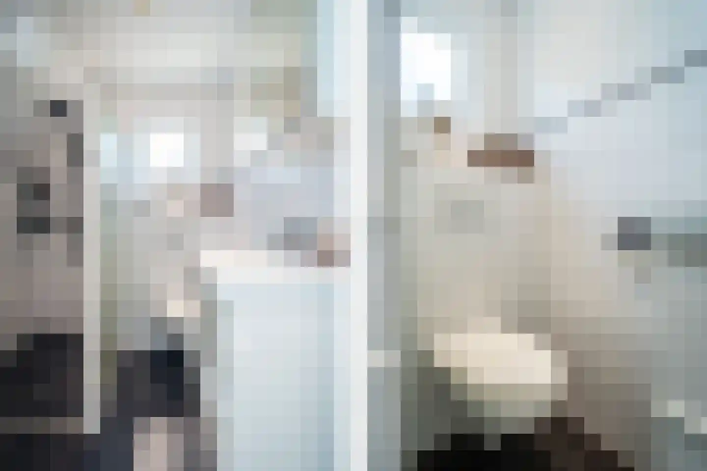 Schoudieck 47 Den Burg thumbnail 31