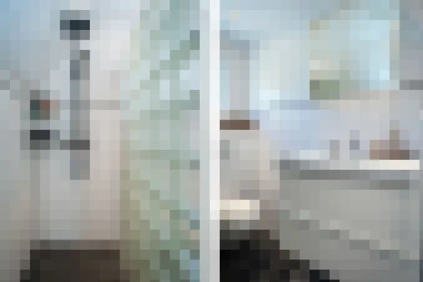 Schoudieck 47 Den Burg thumbnail 32