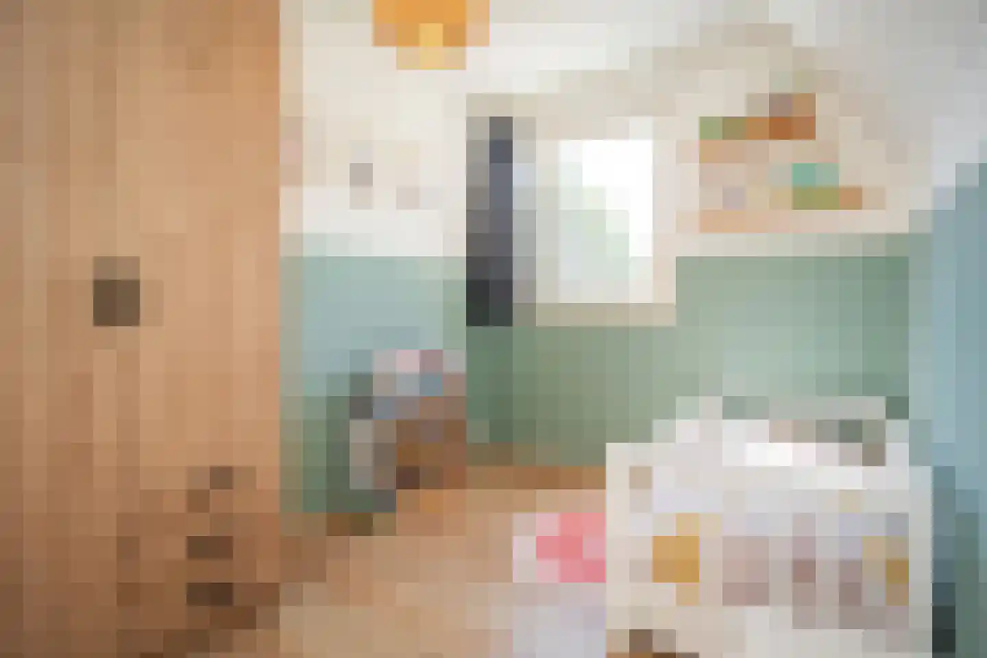 Schoudieck 47 Den Burg thumbnail 33